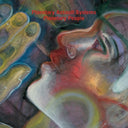 Pre-Order: Planetary Assault Systems - Planetary People [3LP]