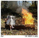 Pre-Order: Pup - Dream Is Over - Clear W/ Red & Orange Swirl [Clear Vinyl]