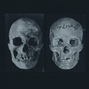 Pre-Order: Government Alpha - Human Race Was Restored To Life Repeatedly [LP]