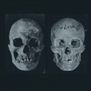 Pre-Order: Human Race Was Restored To Life Repeatedly [LP]