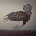Pre-Order: Katatonia - Fall Of Hearts [Colored Vinyl] (Wht) (Aniv)