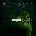 Pre-Order: Realities [Limited Edition] (Coll) (Spkg)