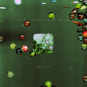 Pre-Order: Spoils - Mile Wide Inch Deep [CD]