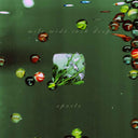 Pre-Order: Mile Wide Inch Deep [CD]