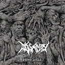 Pre-Order: Dissanity - Demo 2026 [CD]
