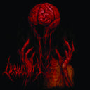 Pre-Order: Desanguinate - Desanguinate [LP]