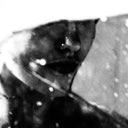 Leavings [CD]