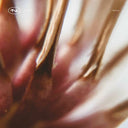 Pre-Order: Nastia - TECH041 [12" Vinyl]