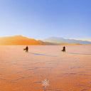 Pre-Order: Praana - Insight Out [Colored Vinyl]