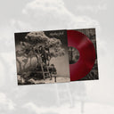 Pre-Order: Howling Bells - Howling Bells: 20th Anniversary (Burg) [Colored Vinyl] (Uk)