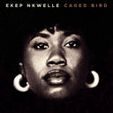 Pre-Order: Caged Bird [LP]