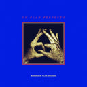 Pre-Order: Un Plan Perfecto [LP]