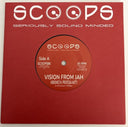 Vibronics / Professa Natti - Vision From Jah [7" Vinyl]