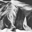 Pre-Order: Juniper Tree [LP]