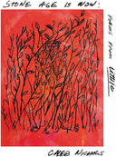 Pre-Order: Stone Age Is Now: Poems From Lithic [LP]