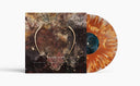 Pre-Order: Between Memory and Promise [Toffee]