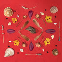 Pre-Order: Secret Family - Grouse Head Talisman [CD]