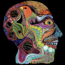 Pre-Order: Osees - Cara Maluco [12" Vinyl]