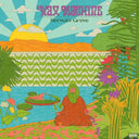 Hermit's Grove [Colored Vinyl] (Ylw) (Uk)