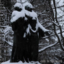 Pre-Order: Cold In The Earth [CD]