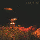 Pre-Order: Orca - Ladybird Ep [LP]