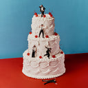 Pre-Order: Blossoms - Songs From The Wedding Cake [LP]