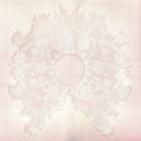 PRE-ORDER: Musique Domestique [LP]