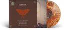 Pre-Order: All My Demons Greeting Me As A Friend [Torrent Toffee]