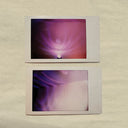 Pre-Order: Missed Opportunity For The World [LP]