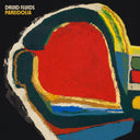 Pre-Order: Druid Fluids - Pareidolia [CD]