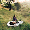 Pre-Order: No Home [LP]