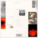 PRE-ORDER: Apiformes [LP]