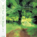 PRE-ORDER: Quiet Forest [LP]