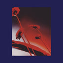 Pre-Order: Nothing Ever Was: Compiled By Dj Sundae / Var - Nothing Ever Was: Compiled By Dj Sundae / Var [CD]