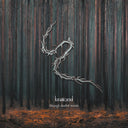 Pre-Order: Lunatic Soul - Through Shaded Woods [CD]