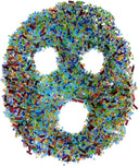 PRE-ORDER: Poop Disco [LP]