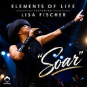 Pre-Order: Elements Of Life - Soar [Colored Vinyl] [180 Gram] (Ylw)