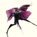 PRE-ORDER: Lust [LP]