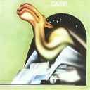 Camel [Import]