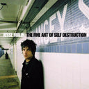 Fine Art Of Self Destruction & Sad & Beautiful World (2LP) & Chasing The Light