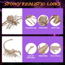 Yescom Halloween Decoration Animal Skeletons Options