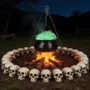 Yescom Halloween Skulls Life Size Skeleton Head 4ct/pk