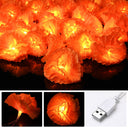 Yescom 20FT Marigold String Lights Garland Halloween Decoration, 2ct.