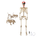 Yescom 5.6Ft Halloween Skeleton Set - Pirate & 3 Animal Skeletons