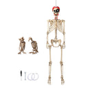 Yescom 5.6Ft Halloween Skeleton Set - Pirate with Vulture & Owl