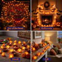 Yescom 2-Pack Marigold String Lights with Magnetic Clips, USB plug-in