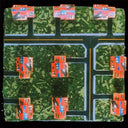 No Handle [LP]