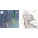 Alt-J - Dream & Awesome Wave - LP Vinyl Bundle