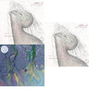 Alt-J - Dream (Milky Clear LP Vinyl) (I) & Dream & Awesome Wave
