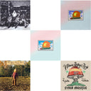 Live At Fillmore East & Brothers & Sisters & Eat A Peach (2LP) & Eat A Peach (Light Pink & Light Blue LP Vinyl) & Syria Mosque: Pittsburgh, Pa January 17, 1971 (Live) (Pittsburgh Steel Gray Vinyl/2LP)